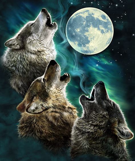 three wolves photos|three wolves images.